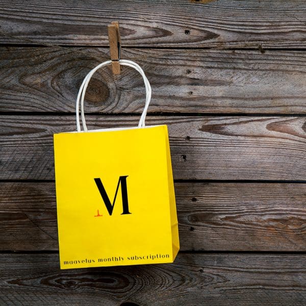 Custom website - Monthly Subscription